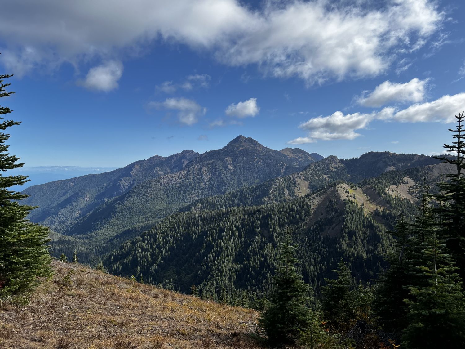 Olympic NP 